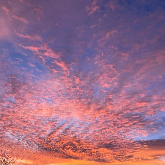 Meet your Posher, Elaine - Picture 4 of 4